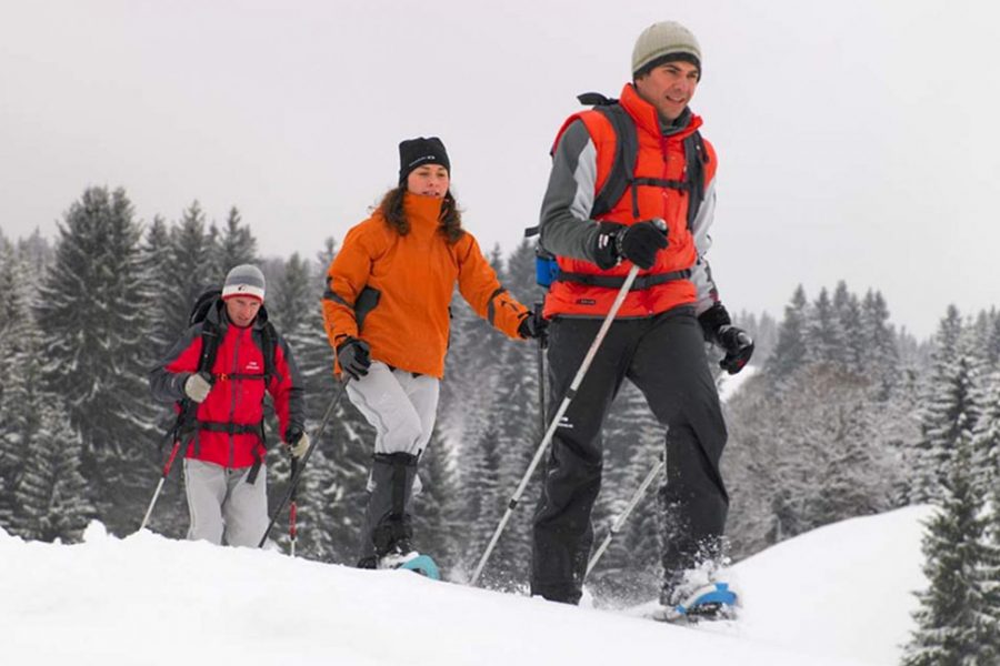 rakiety-bieszczady4-1-1536x1108